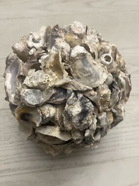 Pier One Natural Oyster Shell Decorative Accent Ball